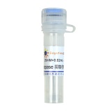 碧云天 Caspase抑制剂Z-VAD-FMK(C1202-0.02ml)
