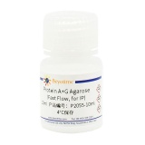 碧云天 Protein A+G Agarose (Fast Flow, 免疫沉淀用)(P2055-10ml)