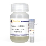 碧云天 SIRT1 Rabbit pAb(SIRT1兔多抗)(AF0282)