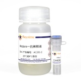 碧云天 CDK4抗体(小鼠单抗)(AC251)