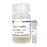 碧云天 Cyclin D1 Rabbit pAb(Cyclin D1兔多抗)(AF0126)