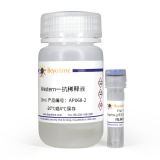 碧云天 Phospho-p53(Ser15)抗体(兔多抗)(AP068)