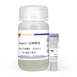 碧云天 Tubulin抗体(小鼠单抗)(AT819)