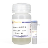 碧云天 ERK2 Rabbit pAb(ERK2兔多抗)(AF0147)