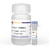 碧云天 Phospho-GSK-3β(Ser9)抗体(兔多抗)(AG753)