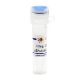 碧云天 pShuttle-CMV-C-EGFP(腺病毒质粒，绿色荧光)(D8117-100μg)