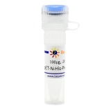 碧云天 pET-N-His-PreScission-SUMO(原核表达质粒)(D2918-100μg)