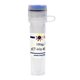 碧云天 pET-His-MCS-Avi (Avi标签原核表达质粒)(D3005-100μg)