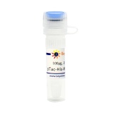 碧云天 pTac-His-MBP-PreScission (原核活性蛋白高表达质粒)(D5001-100μg)
