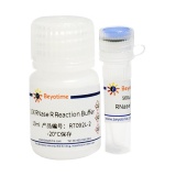 碧云天 RNase R（核糖核酸外切酶）(R7092L)