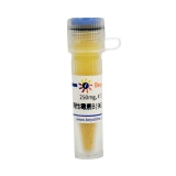 碧云天 两性霉素B (>750µg/mg, BioReagent)(ST2182-250mg)