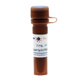 碧云天 Rapamycin (FRAP/mTOR抑制剂)(S1842-25mg)