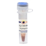 碧云天 Human Holo Transferrin（铁饱和形式的Transferrin (转铁蛋白)）(ST1135-25mg)