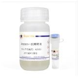 碧云天 β-Actin Mouse mAb (HRP Conjugated)(β-Actin 小鼠单抗)(AF2815-50μl)