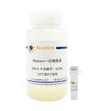 碧云天 β-Actin Mouse mAb (HRP Conjugated)(β-Actin 小鼠单抗)(AF2815-200μl)