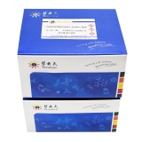 碧云天 FDA批准药物库(1843个, 10mM×10µl)(S3300S)