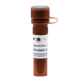 碧云天 Trichostatin A (HDAC抑制剂)(S1893-500μg)
