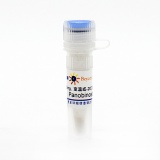 碧云天 Panobinostat (LBH589) (HDAC抑制剂)(SC0294-25mg)