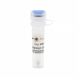 碧云天 Degrasyn (Bcr-Abl抑制剂)(SC1117-5mg)