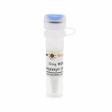 碧云天 Degrasyn (Bcr-Abl抑制剂)(SC1117-25mg)