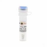 碧云天 GNF-7 (Bcr-Abl抑制剂)(SC1171-25mg)