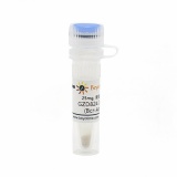 碧云天 GZD824 Dimesylate (Bcr-Abl抑制剂)(SC1238-25mg)
