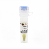 碧云天 Pomalidomide (TNF-alpha抑制剂)(SC4345-25mg)