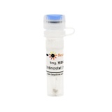 碧云天 Entinostat (HDAC抑制剂)(SD1083-5mg)