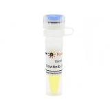 碧云天 Dovitinib (FLT3抑制剂)(SC1036-10mM)