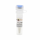 碧云天 Quizartinib (FLT3抑制剂)(SC1049-25mg)