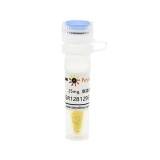 碧云天 SSR128129E (FGFR抑制剂)(SC1103-25mg)