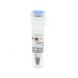 碧云天 MS436 (BET Bromodomain抑制剂)(SC6637-25mg)