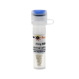 碧云天 Salubrinal (eIF2α去磷酸化抑制剂)(SC4377-25mg)