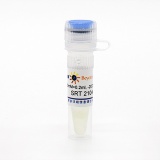 碧云天 SRT 2104 (SIRT1激活剂)(SC0272-10mM)