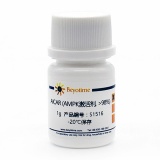 碧云天 AICAR (AMPK激活剂, >98%)(S1516-1g)