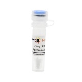 碧云天 BeyoFusion DNA Polymerase(BeyoFusion DNA聚合酶)(D7221)