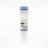 碧云天 EX 527 (Selisistat) (SIRT1抑制剂)(SC0281-10mM)