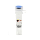 碧云天 U-104 (Carbonic Anhydrase抑制剂)(SD7180-10mM)