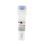 碧云天 CARIPORIDE (NHE抑制剂)(SD7203-25mg)