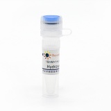 碧云天 Hydroxyurea (DNA Synthesis抑制剂)(S1961-10mM)