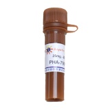 碧云天 PHA-793887 (CDK2抑制剂)(SC0096-25mg)