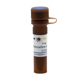 碧云天 Roscovitine (Seliciclib, CYC202) (CDK2抑制剂)(SC0101-5mg)