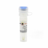 碧云天 Flavopiridol HCl (CDK抑制剂)(SC6533-5mg)