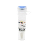 碧云天 Pentostatin (Adenosine Deaminase抑制剂)(SD7162-25mg)