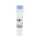 碧云天 RVX-208 (BET bromodomain抑制剂)(SD1159-10mM)