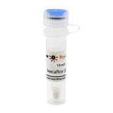 碧云天 Ivacaftor (CFTR激活剂)(SF9096-10mM)