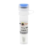 碧云天 VX809 (CFTR调节剂)(SF9114-25mg)