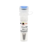 碧云天 PFI-1 (BET抑制剂)(SD1101-25mg)
