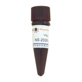 碧云天 NS-2028 (sGC抑制剂)(S1769)