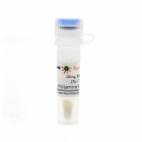 碧云天 JNJ-7777120 (Histamine Receptor拮抗剂)(SD9549-25mg)